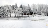 Tour Schneeschuhwandern Diedolshausen - Raquettes vers la Tête du Violu - le Bonhomme - Photo 3