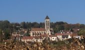 Tocht Stappen Champagne-sur-Oise - Vers le Bois du Gouvernement - Champagne-sur-Oise - Photo 3