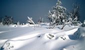 Randonnée Raquettes à neige Orbey - Raquettes vers la tête des faux - Orbey - Photo 6