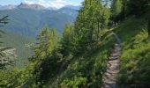 Trail Walking Cervières - Le Tour du Queyras (Fonds de Cervières - Souliers) - Photo 2