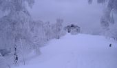 Randonnée Raquettes à neige Grandfontaine - Le Donon en raquettes - Grandfontaine - Photo 6