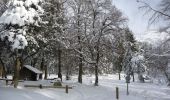 Randonnée Raquettes à neige Grandfontaine - Le Donon en raquettes - Grandfontaine - Photo 3