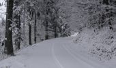 Percorso Racchette da neve Grandfontaine - Le Donon en raquettes - Grandfontaine - Photo 2