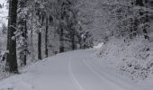 Excursión Raquetas de nieve Grandfontaine - Le Donon en raquettes - Grandfontaine - Photo 2