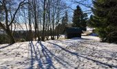 Tocht Sneeuwschoenen Ottrott - Le Champ du Feu en raquettes - Photo 5