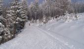 Trail Snowshoes Ottrott - Le Champ du Feu en raquettes - Photo 2