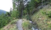 Trail Walking Arvieux - Le Tour du Queyras (Brunissard - Furfande) - Photo 6