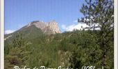 Trail Running Bevons - Tour du Peydiou -  Bevons - Photo 2