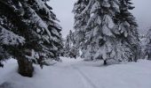 Tour Schneeschuhwandern Campan - Le Plo Del Naou - Payolle - Photo 6