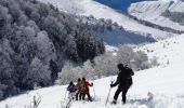 Tour Schneeschuhwandern Campan - Le Plo Del Naou - Payolle - Photo 2