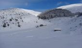 Tour Schneeschuhwandern Campan - Le Plo Del Naou - Payolle - Photo 1