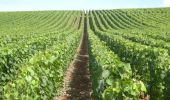 Percorso Marcia Val-de-Vière - Boucle à travers les vignes - Val de Vière - Photo 1