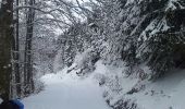 Trail Snowshoes Bellevaux - vers tres le saix - Photo 6