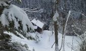 Trail Snowshoes Bellevaux - vers tres le saix - Photo 5