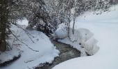 Trail Snowshoes Bellevaux - vers tres le saix - Photo 9