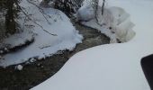 Trail Snowshoes Bellevaux - vers tres le saix - Photo 8