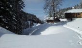 Trail Snowshoes Bellevaux - vers tres le saix - Photo 3