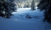 Randonnée Raquettes à neige Bellevaux - vers tres le saix - Photo 2