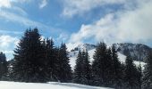 Tocht Sneeuwschoenen Bellevaux - vers tres le saix - Photo 7