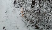 Tour Schneeschuhwandern Archettes - le chenat raquettes - Photo 1