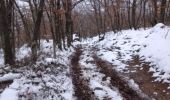 Trail Walking Thurins - entre thurins et Rontalon  - Photo 2