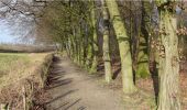 Trail Walking Charleroi - Promenade dans le Parc de la Serna - Photo 4