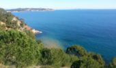 Excursión Senderismo La Seyne-sur-Mer - Janas par. notre dame du Mai - Photo 11