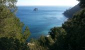 Excursión Senderismo La Seyne-sur-Mer - Janas par. notre dame du Mai - Photo 6