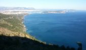 Excursión Senderismo La Seyne-sur-Mer - Janas par. notre dame du Mai - Photo 3