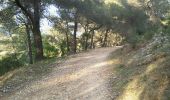 Trail Walking Le Pradet - Garonne-Artaude  - Photo 2