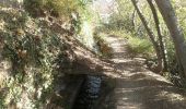 Randonnée Course à pied Ria-Sirach - escapade sainte prudence - Photo 19