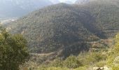 Randonnée Course à pied Ria-Sirach - escapade sainte prudence - Photo 3