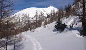 Excursión Esquí de fondo Saint-Martin-Vésubie - Ski rando Mercantour lac Neigre - Photo 2