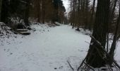 Tour Wandern Royat - Oclede Charade Arboretum_T - Photo 1