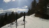 Excursión Raquetas de nieve Laye - Col de gleize - Photo 3
