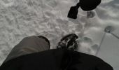 Excursión Raquetas de nieve Laye - Col de gleize - Photo 2