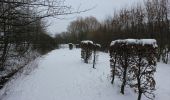 Trail Walking Mouscron - Milpattes - 21012013 - Photo 3
