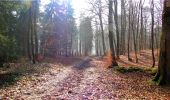 Trail Walking Longpont - en forêt de Retz_13_Longpont_carrefour de la Croix de Guise_AR - Photo 2