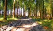 Trail Walking Longpont - en forêt de Retz_13_Longpont_carrefour de la Croix de Guise_AR - Photo 20