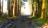 Trail Walking Longpont - en forêt de Retz_13_Longpont_carrefour de la Croix de Guise_AR - Photo 11