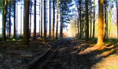 Trail Walking Longpont - en forêt de Retz_13_Longpont_carrefour de la Croix de Guise_AR - Photo 12