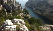 Trail Walking Marseille - gorgues longues-port miou-port pin-en vau-vallon des rampes-petelins - Photo 1