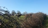 Tour Wandern Courcelles-de-Touraine - Courcelles de Touraine - Photo 3