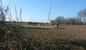 Tour Wandern Courcelles-de-Touraine - Courcelles de Touraine - Photo 2