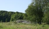 Trail Walking Musson - Musson. Natura 2000, des sites qui vanlent le détour ! Lx 12 - Photo 13