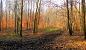 Trail Walking Longpont - en forêt de Retz_15_Longpont_carrefour de Bigoret_AR - Photo 8