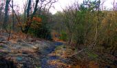 Trail Walking Longpont - en forêt de Retz_15_Longpont_carrefour de Bigoret_AR - Photo 16