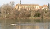 Percorso Marcia Tolosa - Rive Droite Garonne Toulouse Gagnac - Photo 2