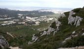 Randonnée Marche Marseille - Luminy: Le chemin du Centaure - Photo 4