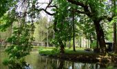 Trail Walking Beauraing - Beauraing - Discover its natural and architectural treasures - Photo 13